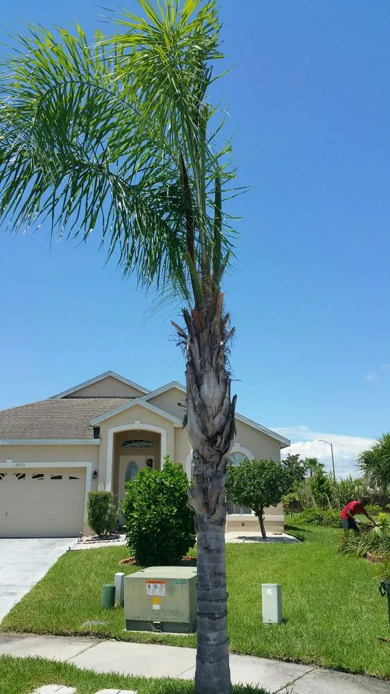 Local landscape design experts serving Orlando, FL - South Orlando Lawn Care & Landscaping