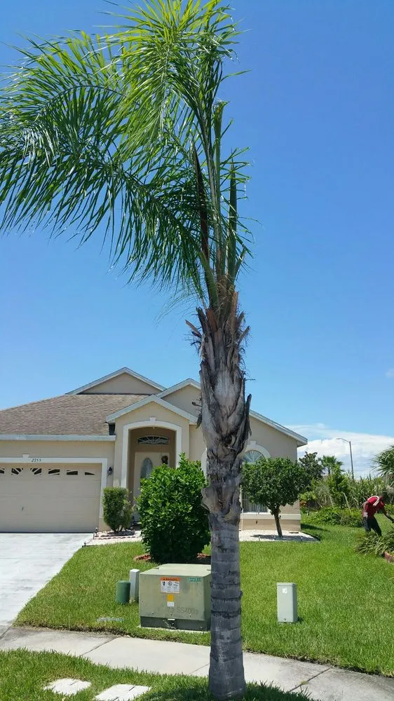 Trusted lawn mowing service with custom design across Orlando, FL - South Orlando Lawn Care & Landscaping