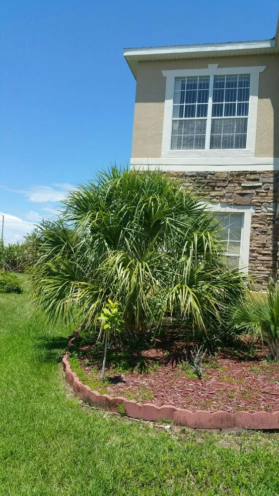 Top-rated landscape design in Orlando, FL by South Orlando Lawn Care & Landscaping