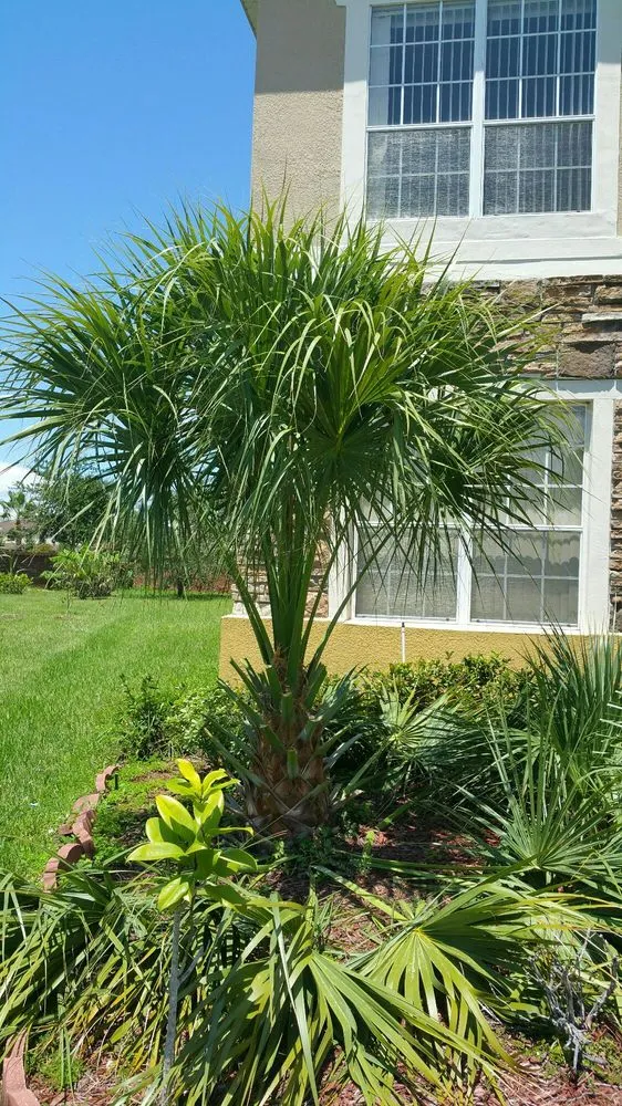 Expert lawn mowing service for beautiful yards across Orlando, FL - South Orlando Lawn Care & Landscaping