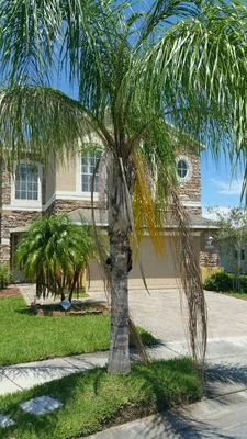 South Orlando Lawn Care & Landscaping Logo