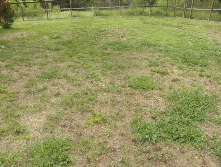 Affordable yard cleanup service for beautiful yards in Pembroke, MA by South River Landscape