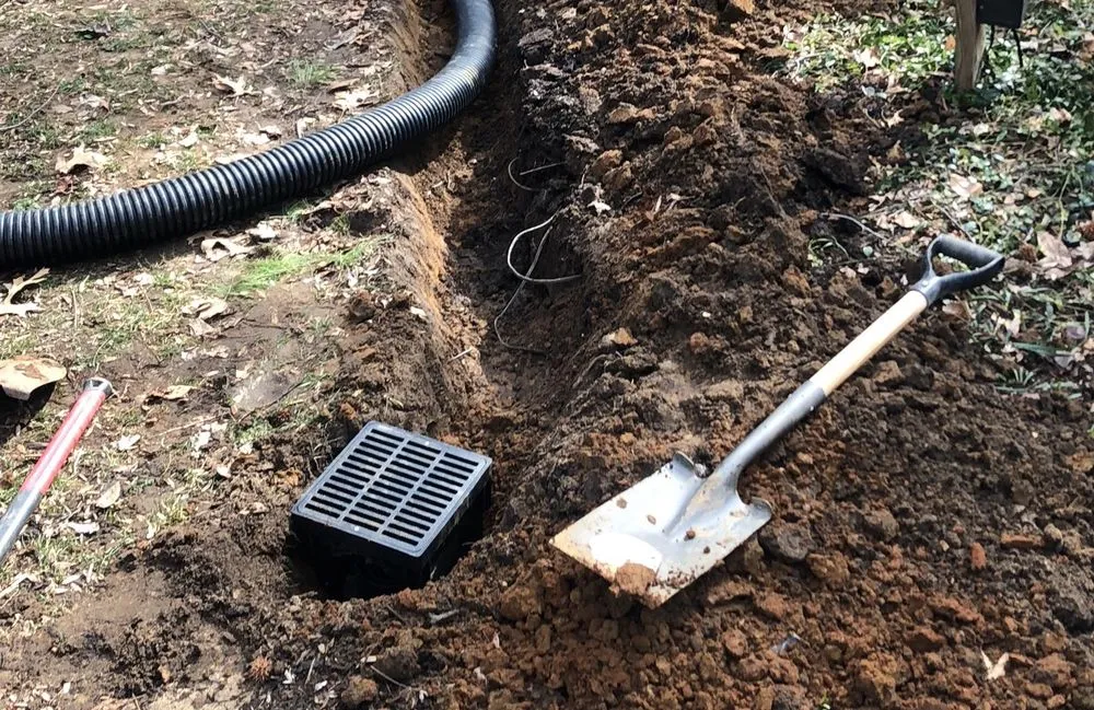 Custom yard cleanup service in Bowie, MD - South River Landscapes, LLC