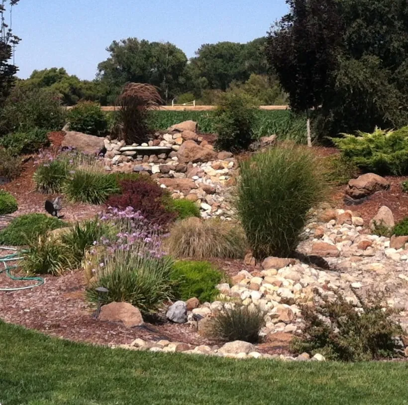 Trusted yard cleanup service for homes across Hayward, CA - South Shore Landscape