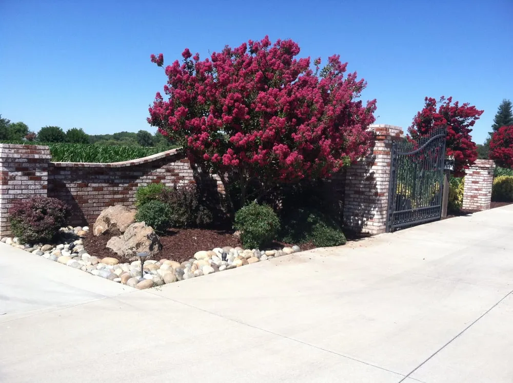 Reliable lawn mowing service in Hayward, CA by South Shore Landscape