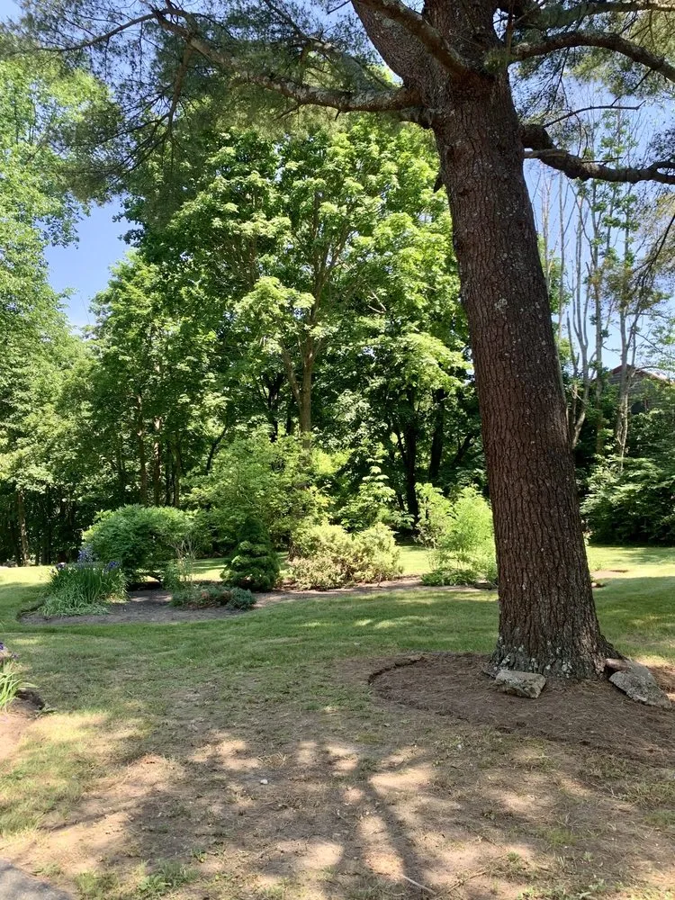 Reliable yard cleanup service experts serving Weymouth, MA - South Shore Landscaping Corp