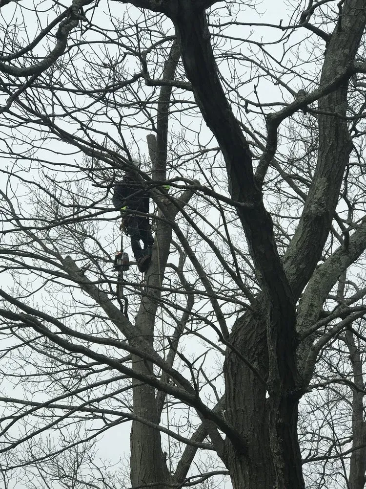 Reliable yard maintenance in Weymouth, MA - South Shore Landscaping Corp