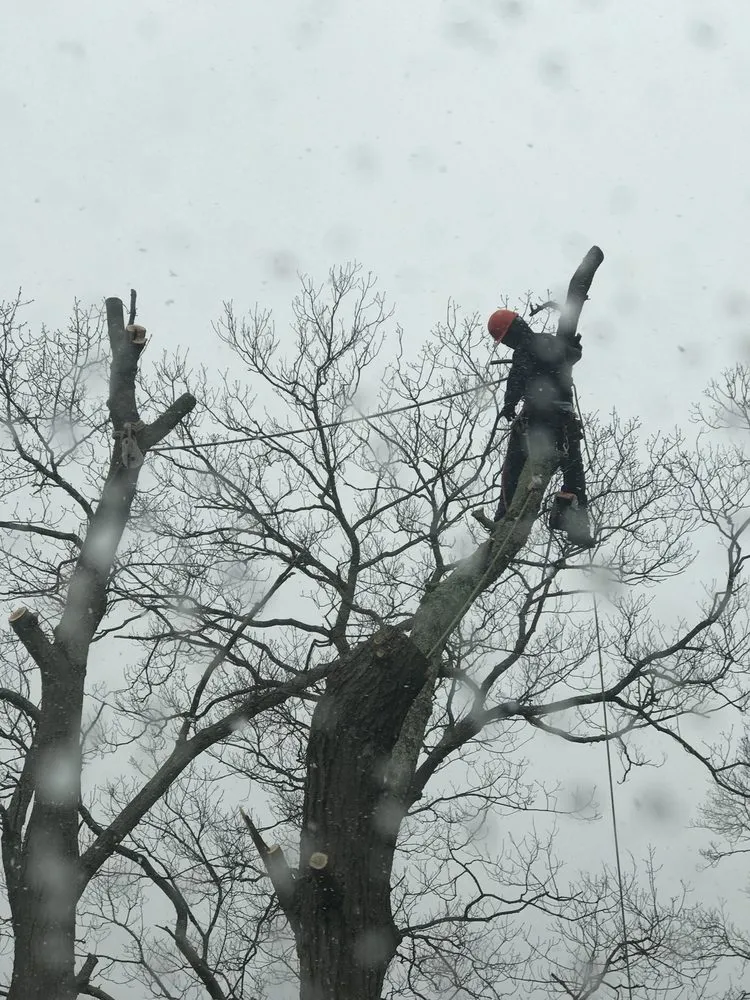 Top-rated landscape design experts serving Weymouth, MA - South Shore Landscaping Corp