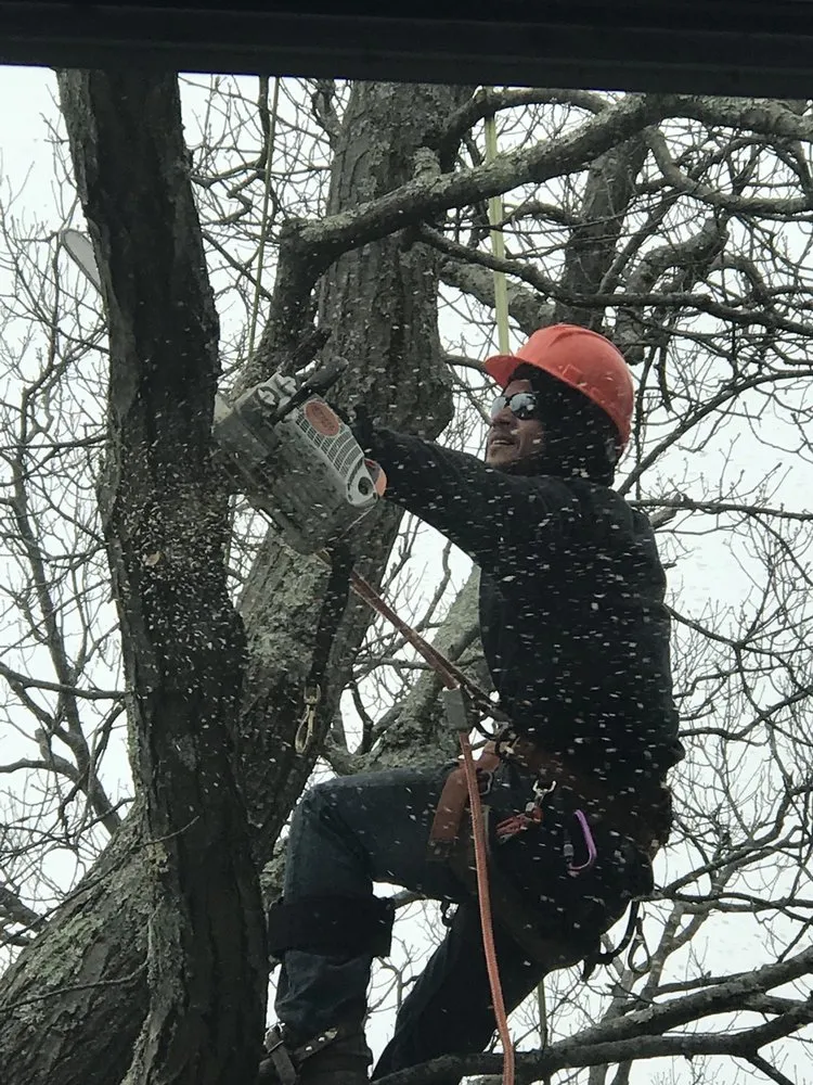 Top-rated landscape installation in Weymouth, MA - South Shore Landscaping Corp