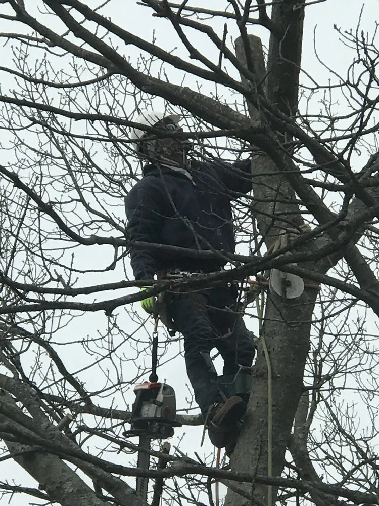 Trusted lawn mowing service in Weymouth, MA - South Shore Landscaping Corp