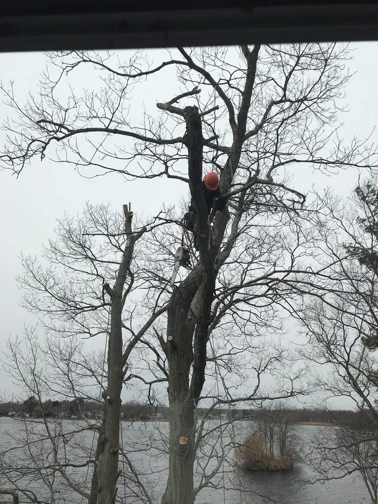 Custom landscaping services near you in Weymouth, MA by South Shore Landscaping Corp