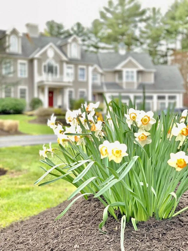 Professional landscape design for outdoor upgrades in Weymouth, MA by South Shore Landscaping Corp