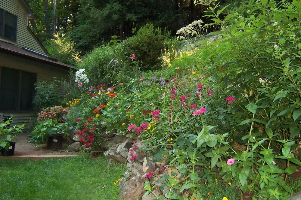 Top-rated lawn care service experts serving Danbury, CT - South Shore Lawns & Landscapes