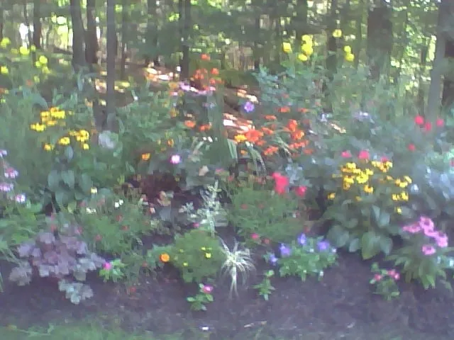 Professional landscape installation experts serving Danbury, CT - South Shore Lawns & Landscapes