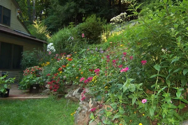 South Shore Lawns & Landscapes