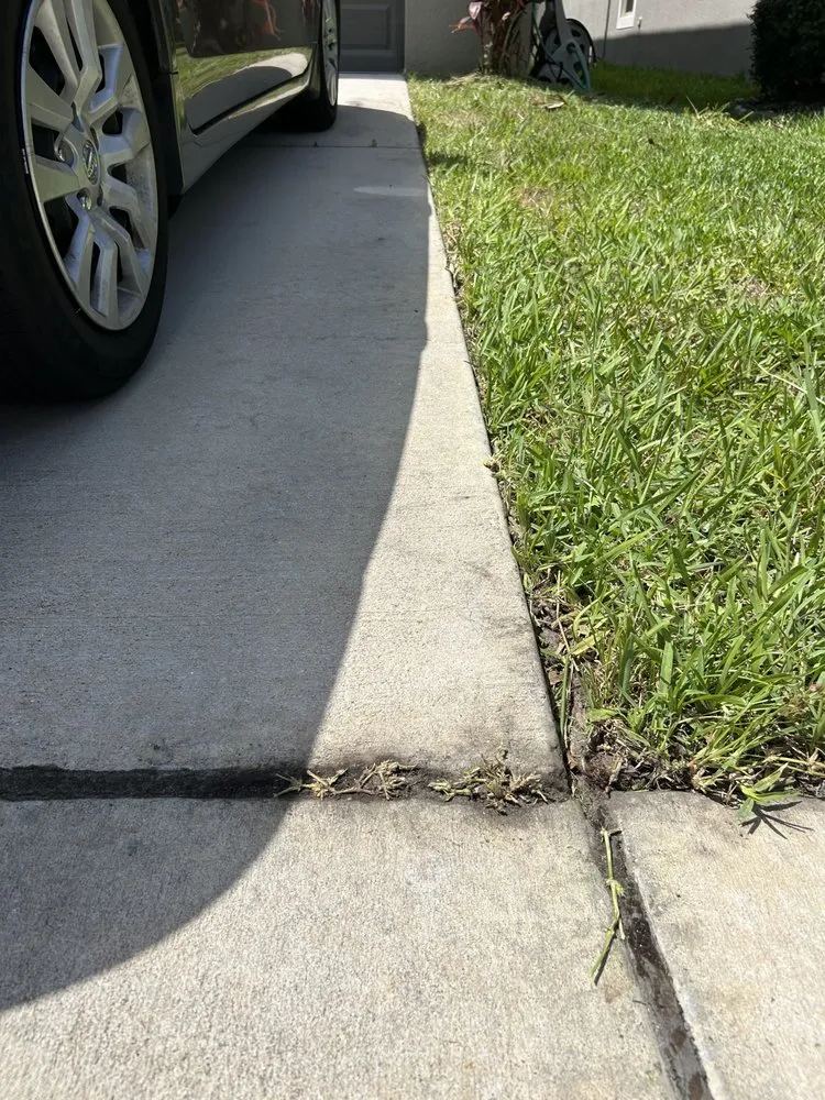 Local yard cleanup service near you in St Augustine, FL by South Shore Turf Pros