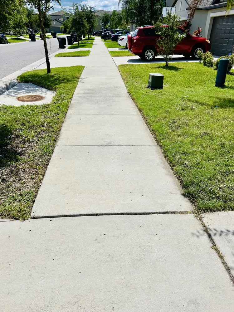 Expert lawn care service in St Augustine, FL by South Shore Turf Pros