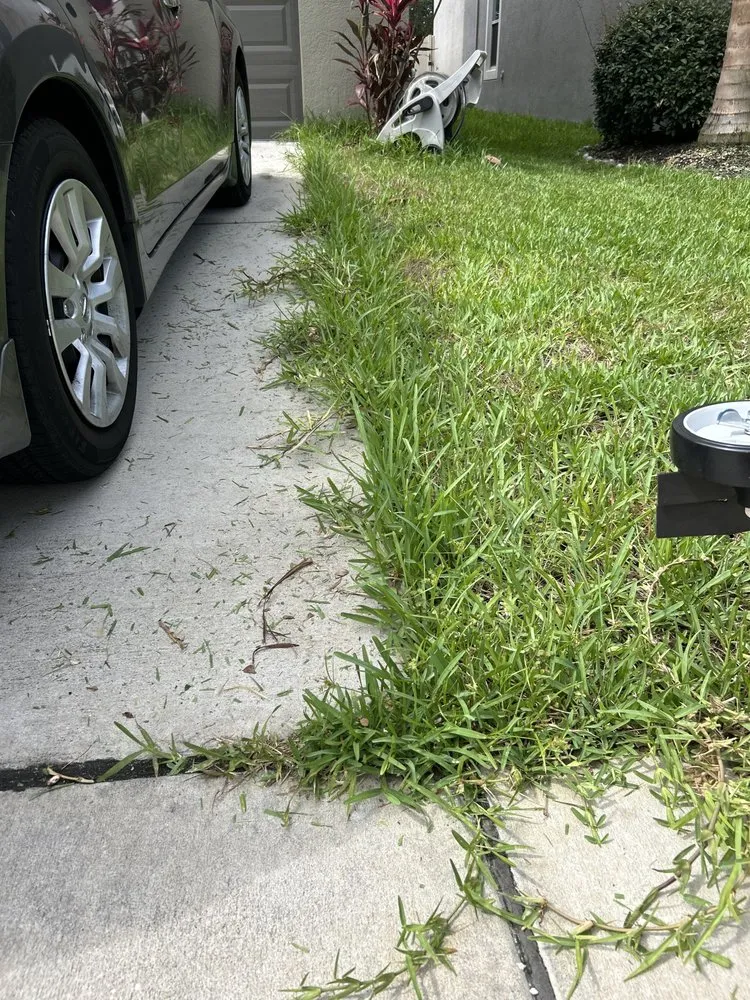Local landscape installation in St Augustine, FL - South Shore Turf Pros