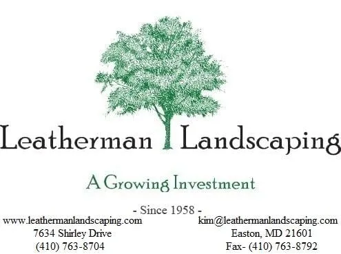 Trusted yard maintenance in East New Market, MD by South Side Land Management