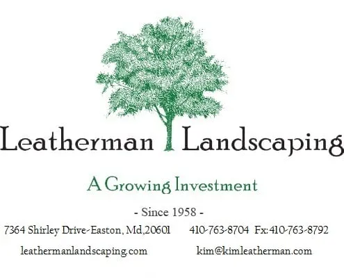 Affordable lawn care service experts serving East New Market, MD - South Side Land Management