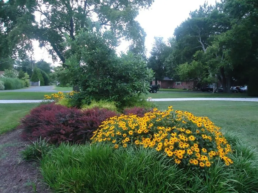 Custom landscape installation in East New Market, MD by South Side Land Management