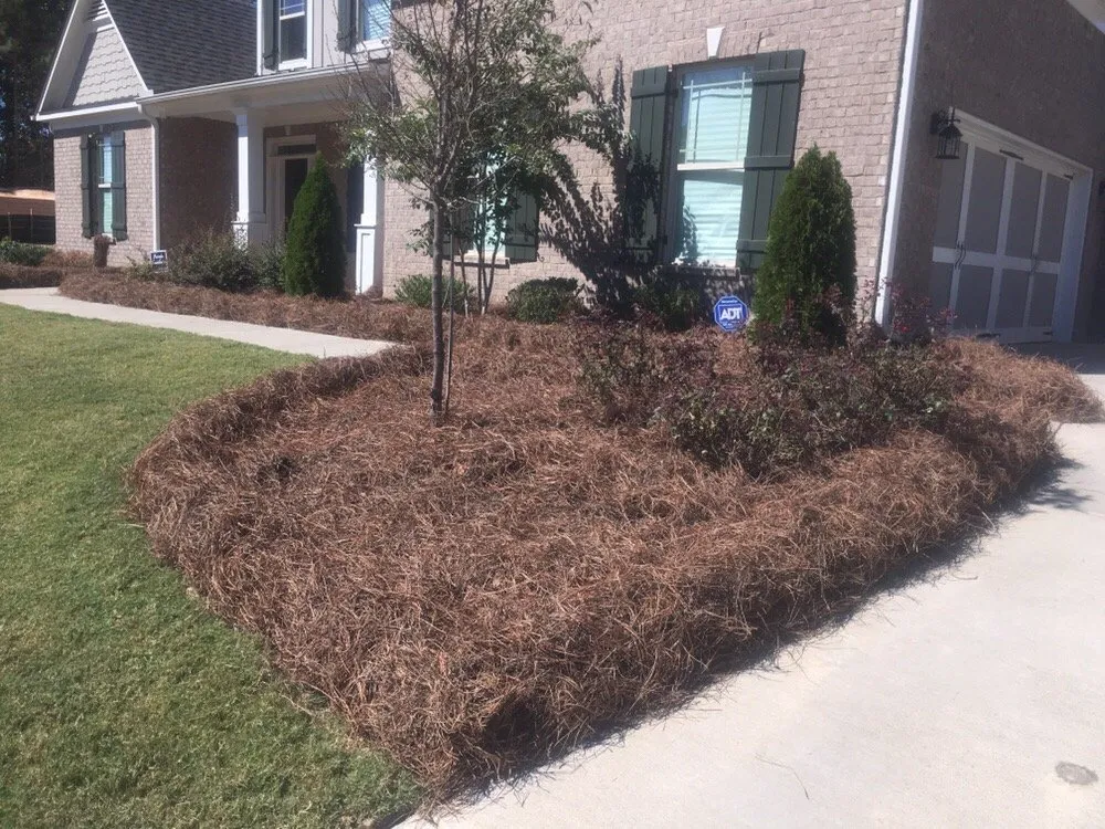 Professional yard cleanup service for year-round maintenance in McDonough, GA by South Side Lawns & Services