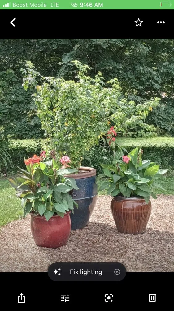 Reliable yard cleanup service with custom design across Indianapolis, IN - South Side Lawns and Estate Services