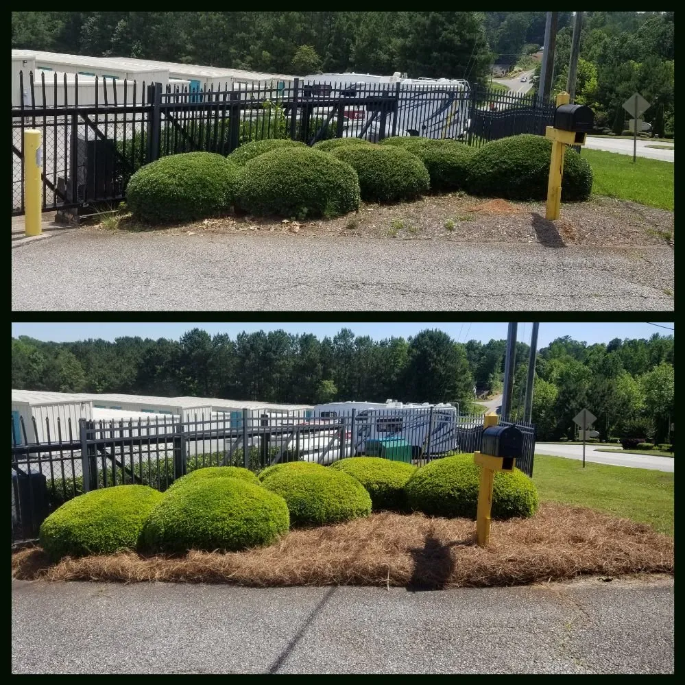 Affordable landscape installation experts serving Gainesville, GA - South State Landscape Group