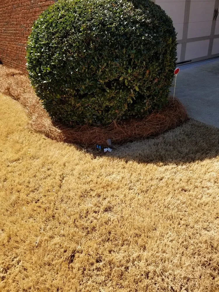 Custom lawn mowing service experts serving Gainesville, GA - South State Landscape Group