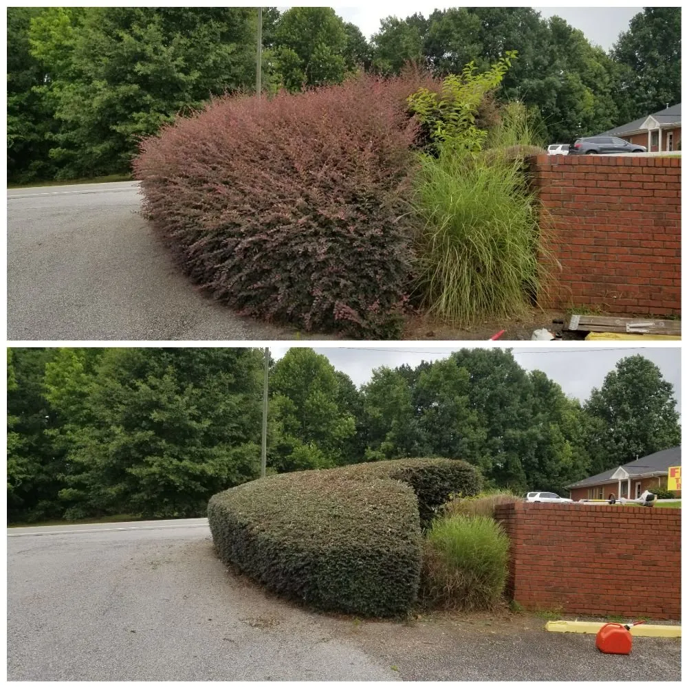 Reliable residential landscaping in Gainesville, GA by South State Landscape Group