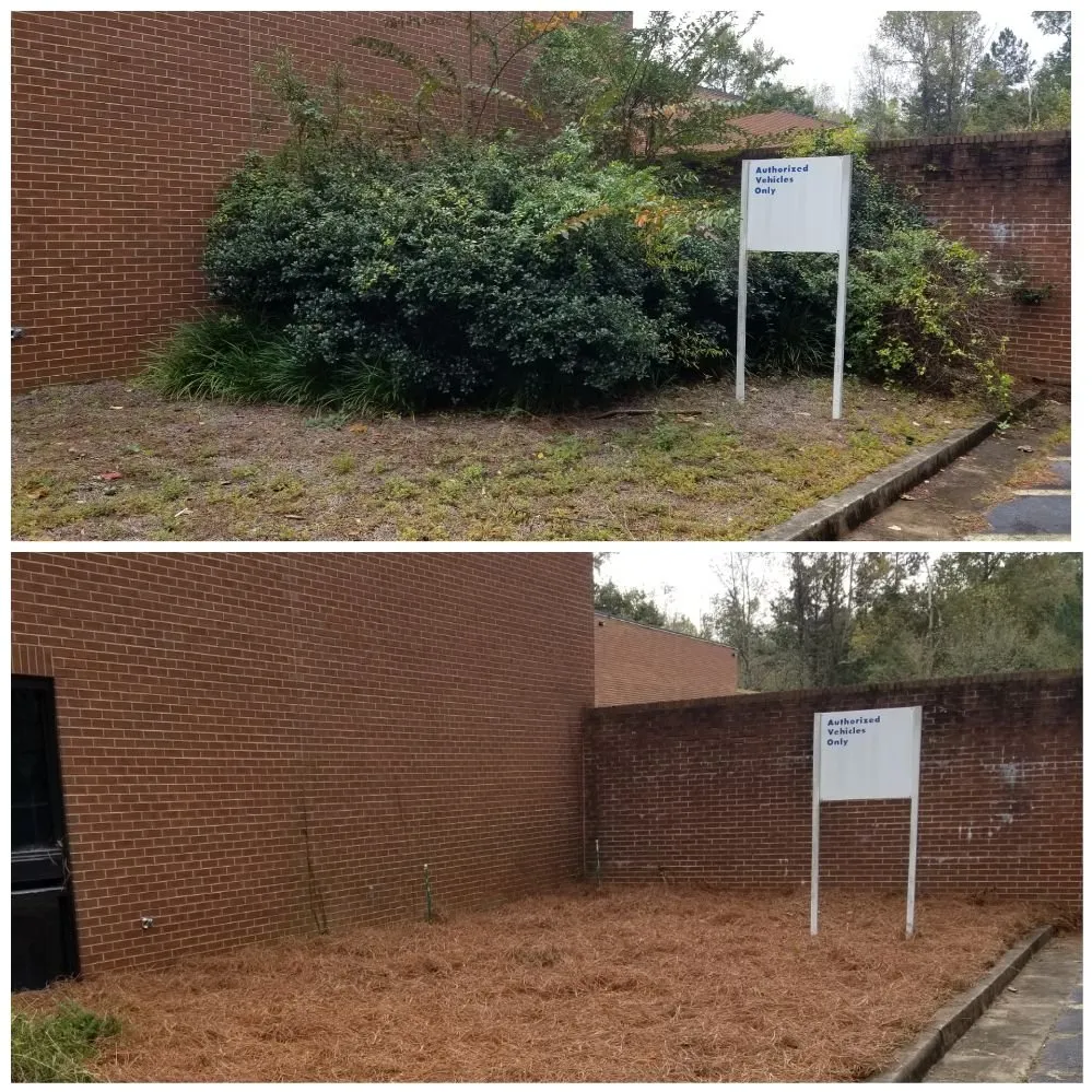 Affordable landscaping services experts serving Gainesville, GA - South State Landscape Group