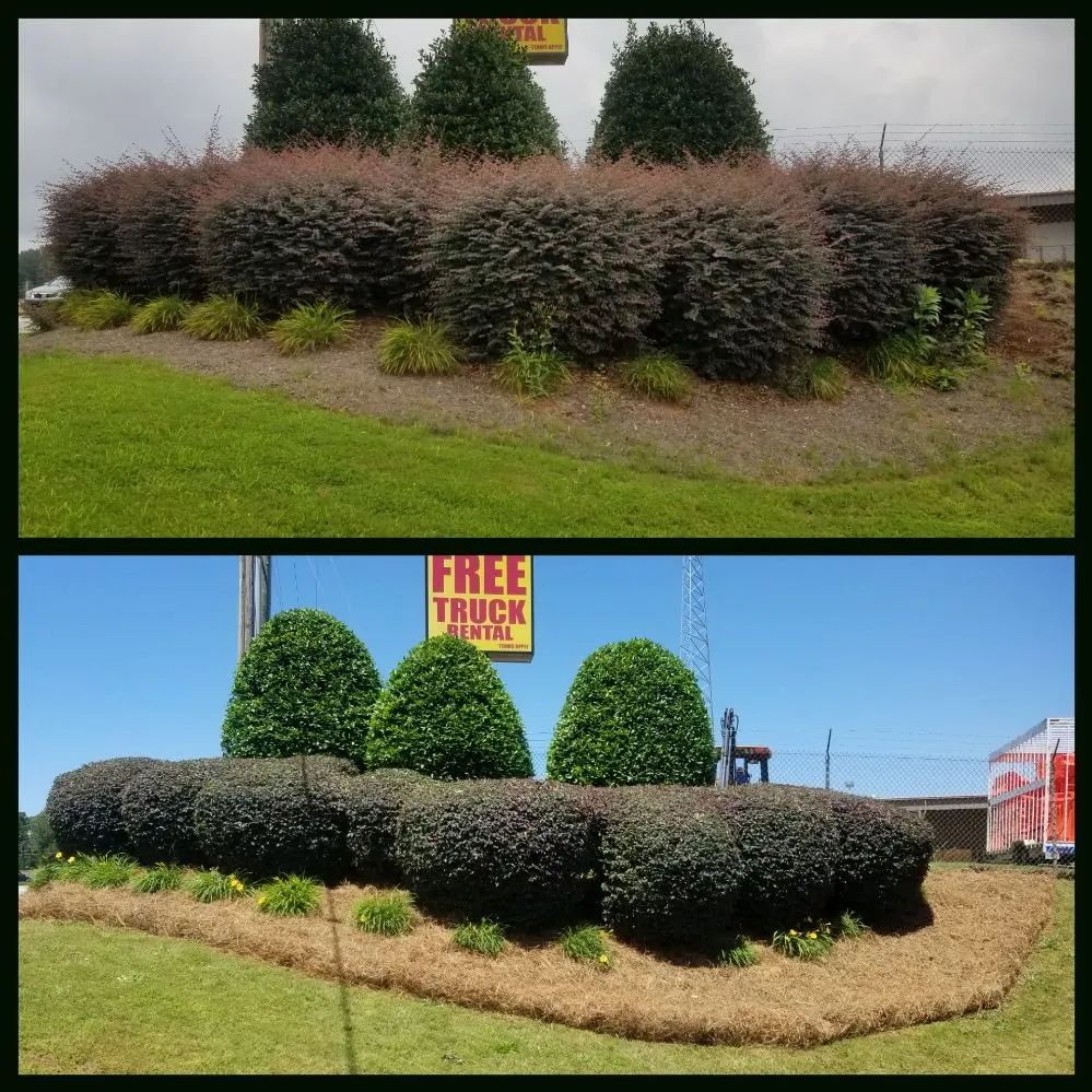 Custom landscape design in Gainesville, GA by South State Landscape Group