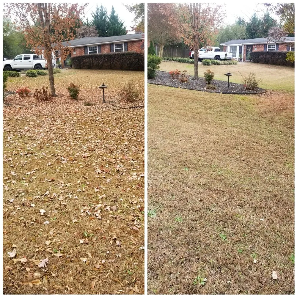 Custom yard cleanup service for outdoor upgrades in Gainesville, GA by South State Landscape Group