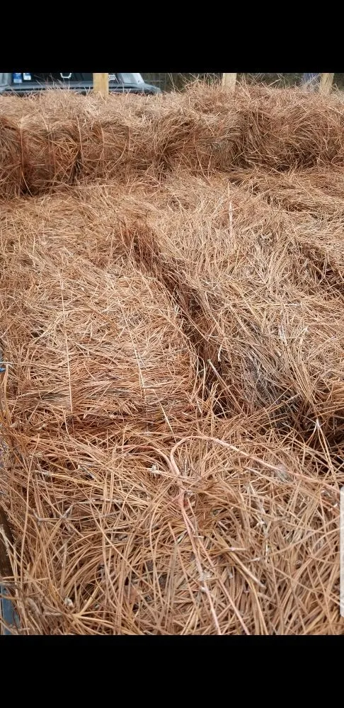 Professional outdoor landscaping for beautiful yards in Gainesville, GA by South State Landscape Group