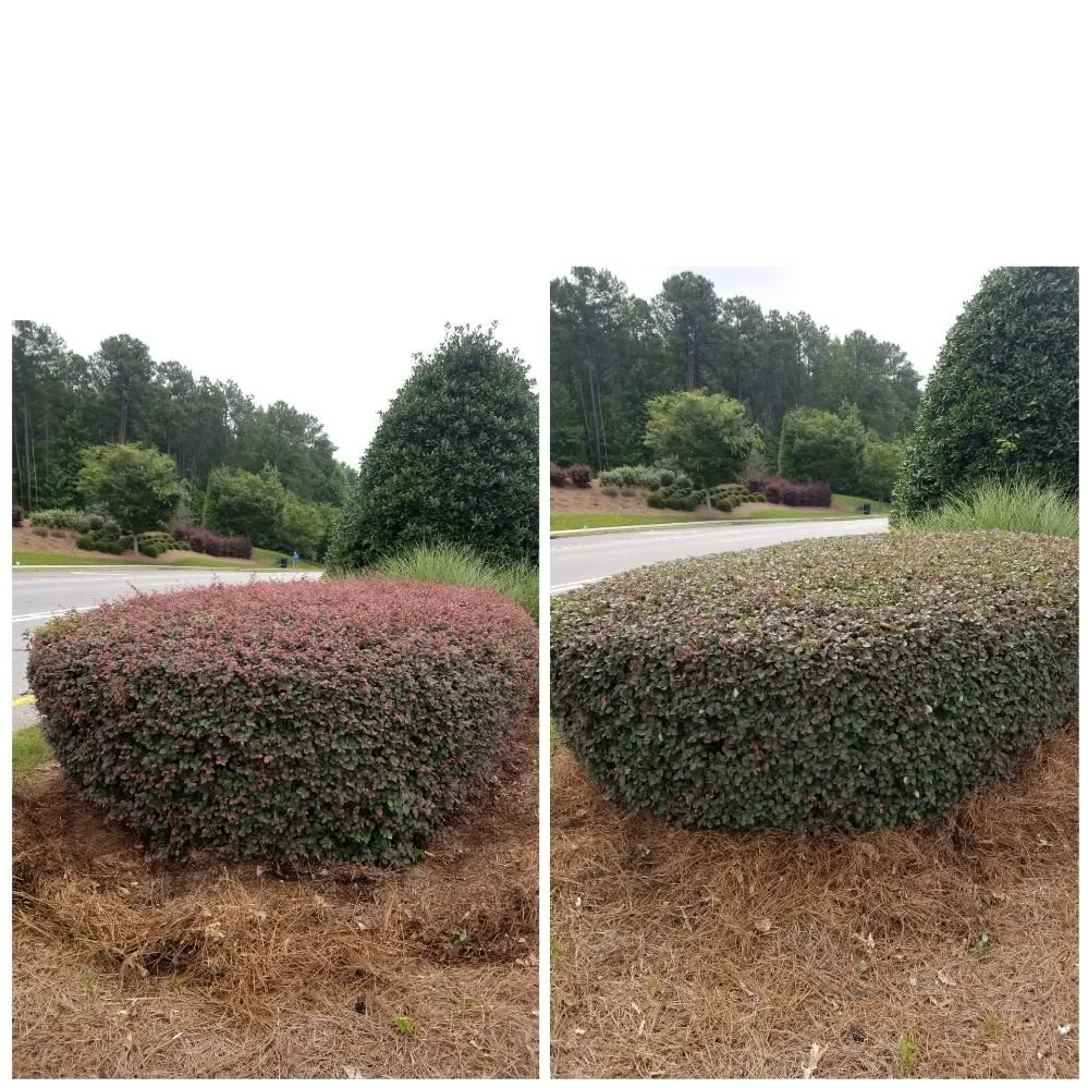 Top-rated lawn mowing service in Gainesville, GA - South State Landscape Group