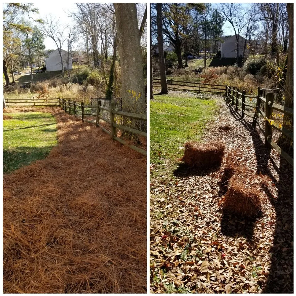 Custom residential landscaping in Gainesville, GA by South State Landscape Group