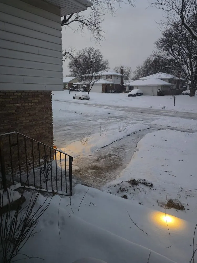 Custom lawn care service for outdoor upgrades in South Holland, IL by South Suburban Maintenance