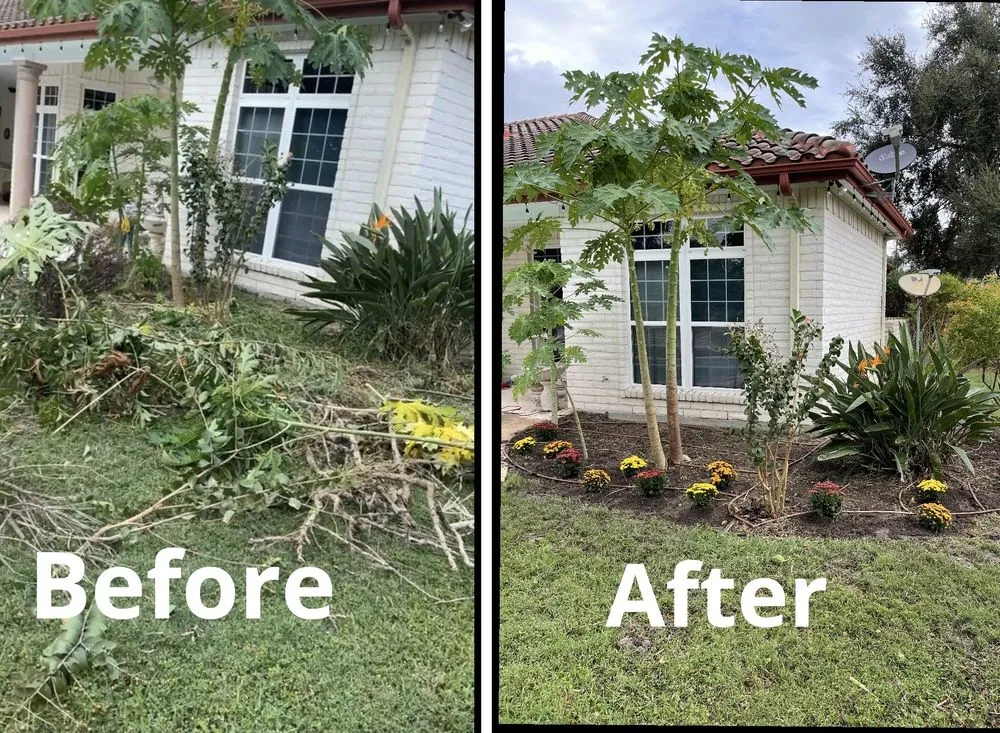 Professional yard maintenance for outdoor upgrades across Harlingen, TX - South Texas Cutters