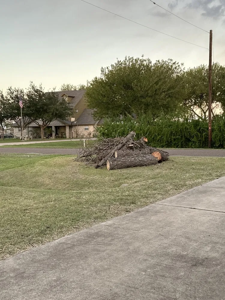 Custom landscape installation in Harlingen, TX by South Texas Cutters