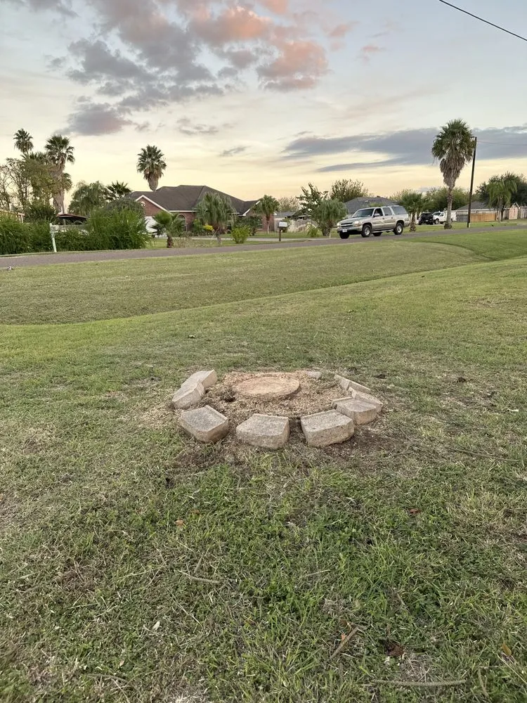 Top-rated landscaping services for beautiful yards across Harlingen, TX - South Texas Cutters