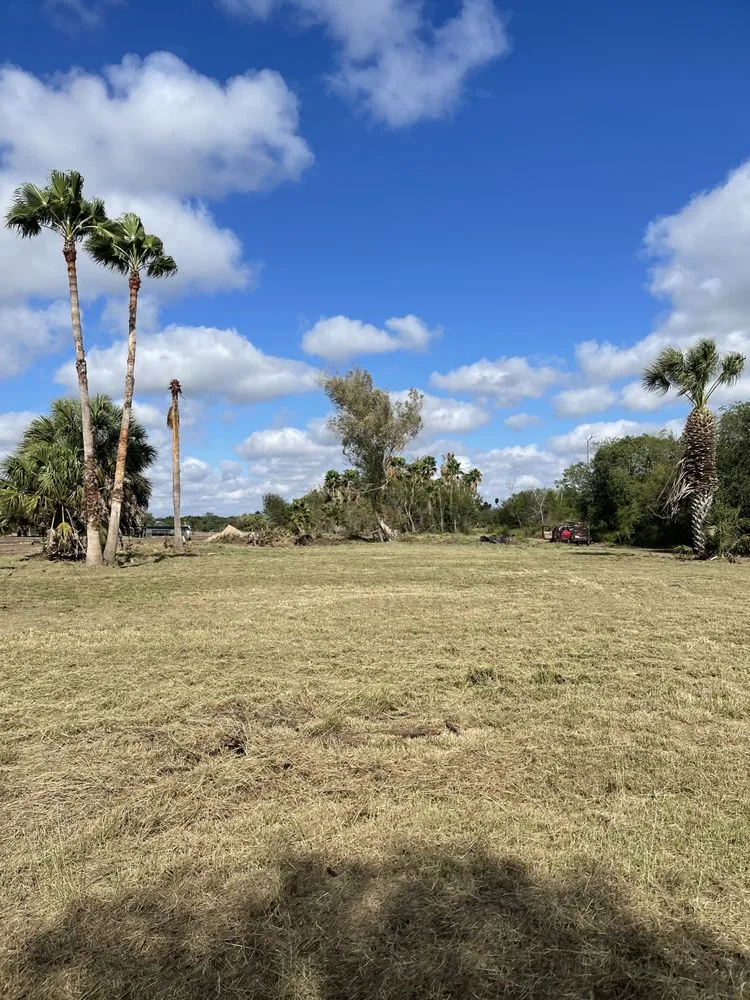 Professional landscape installation in Harlingen, TX by South Texas Cutters