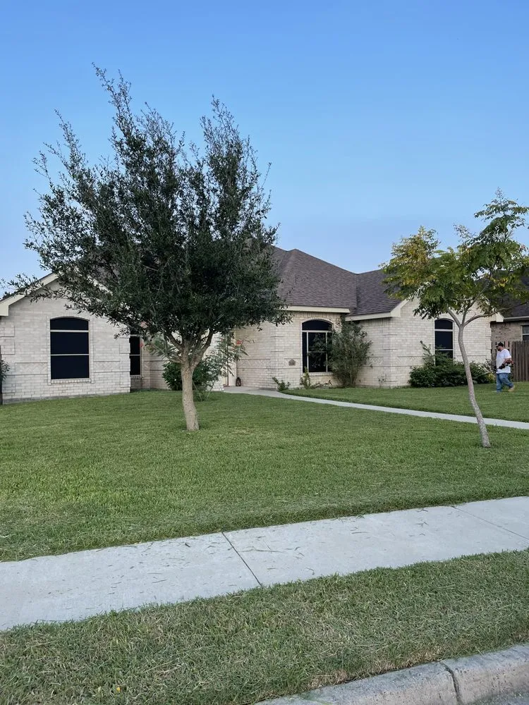 Reliable lawn mowing service in Harlingen, TX by South Texas Cutters