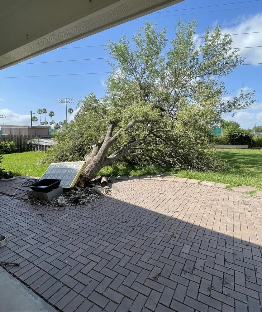 Trusted landscaping services near you across Harlingen, TX - South Texas Cutters