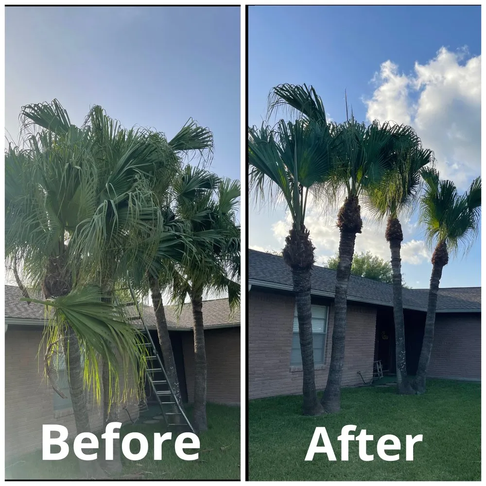 Custom lawn mowing service in Harlingen, TX by South Texas Cutters