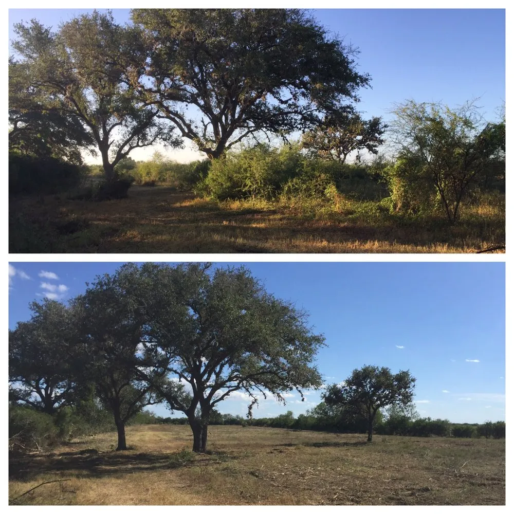 Top-rated garden landscaping in Beeville, TX - South Texas Land Clearing