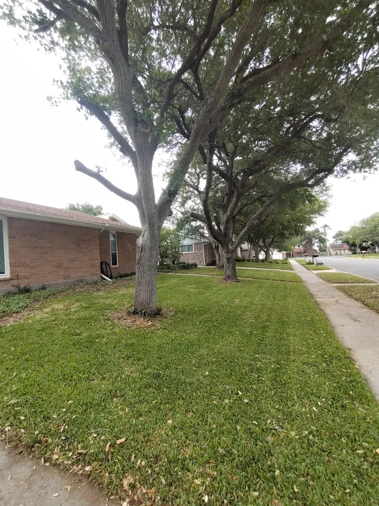 Affordable lawn care service in Gregory, TX - South Texas Lawn Service's