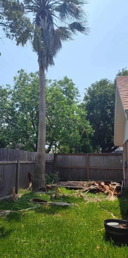 Top-rated lawn mowing service in Gregory, TX - South Texas Lawn Service's