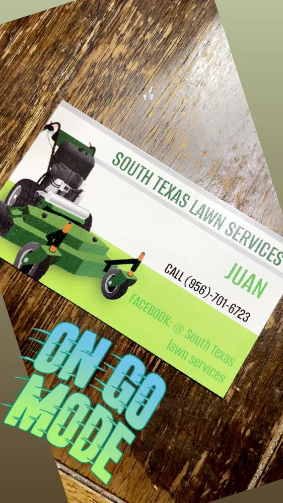 Local outdoor landscaping for beautiful yards across Laredo, TX - South Texas Lawn Services