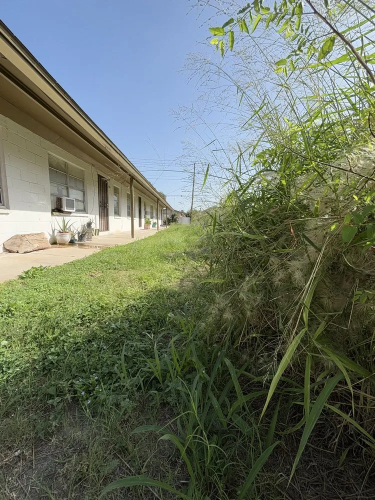 Custom yard cleanup service with custom design in West Sharyland, TX by South Texas Mowing