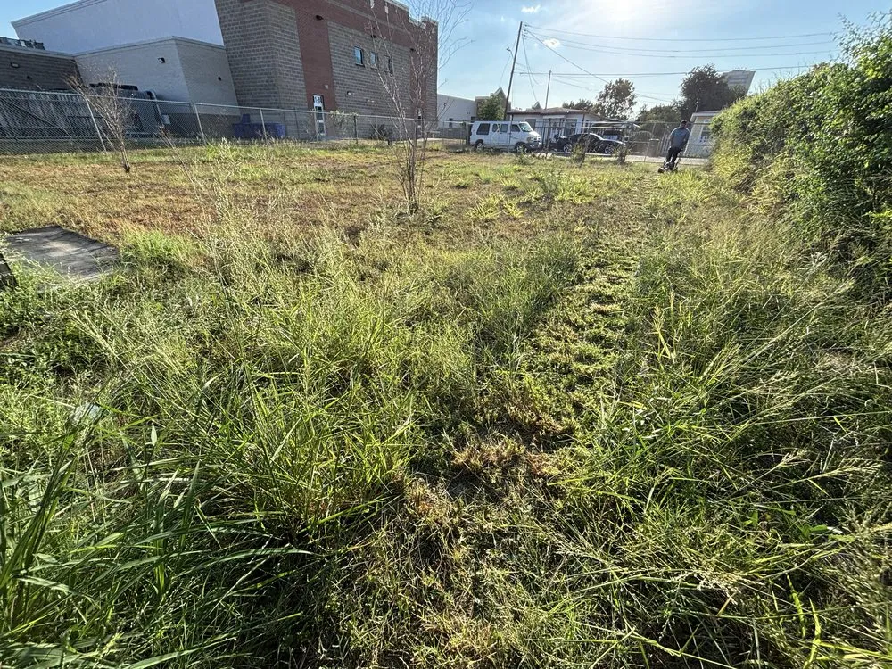 Reliable outdoor landscaping for year-round maintenance in West Sharyland, TX by South Texas Mowing